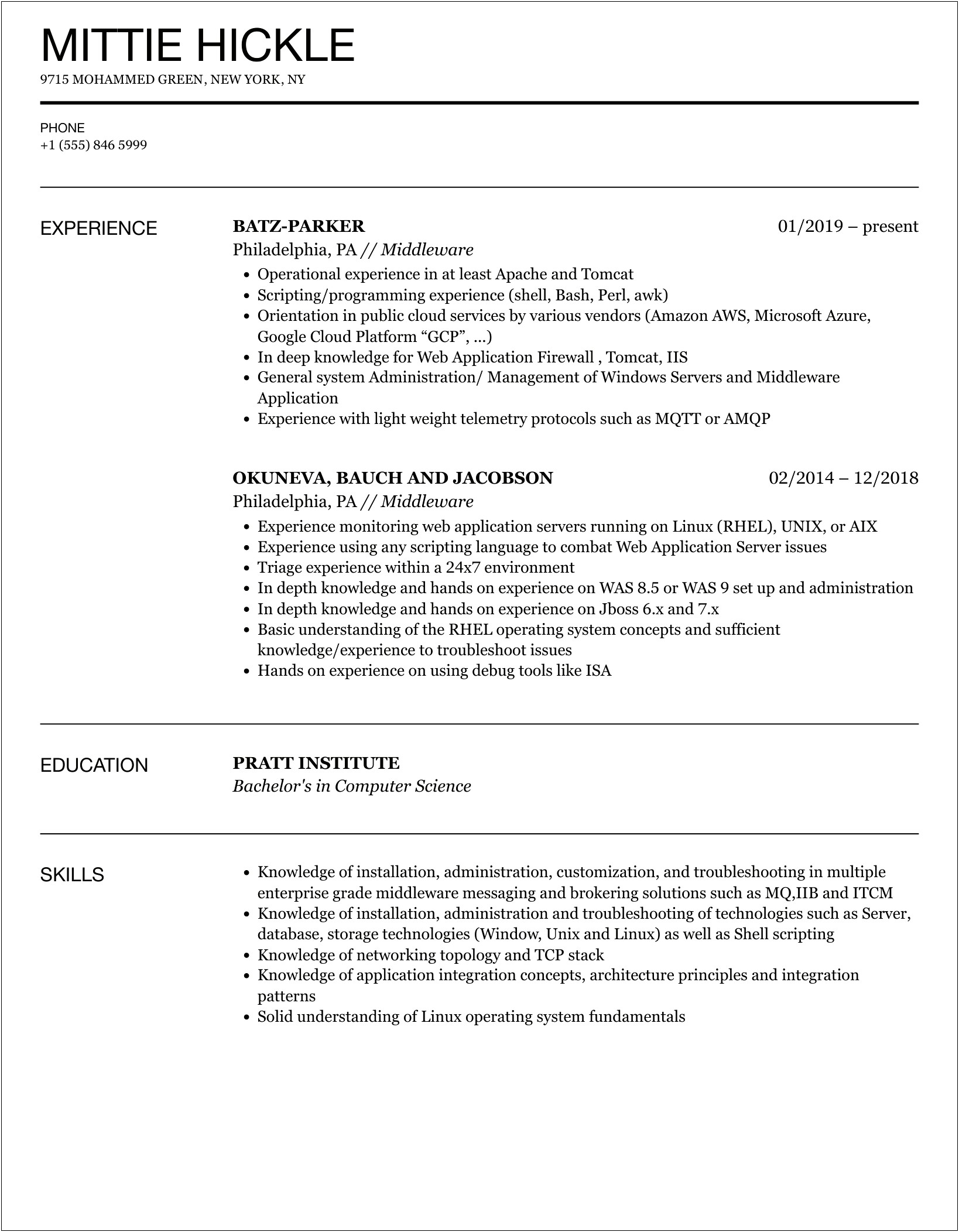 Resume Summary Template Of Middleware Admin