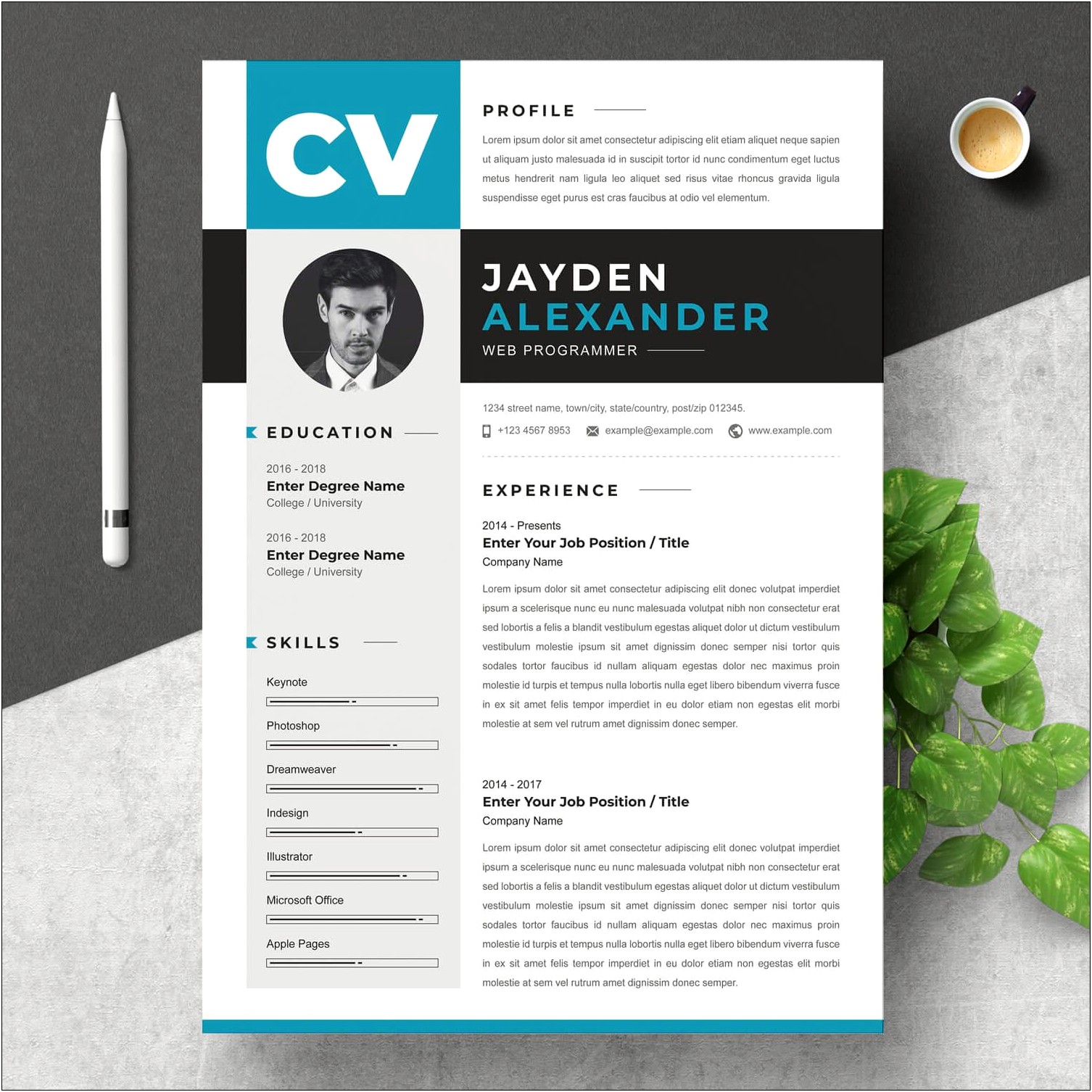 Resume Template 2017 Word Free Download