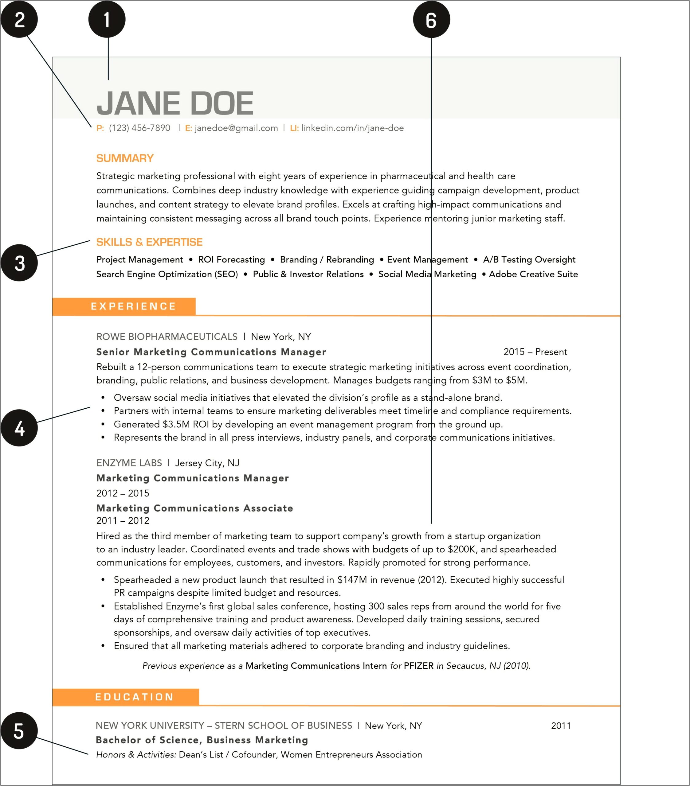 Resume Template Of Studio Intern Manager