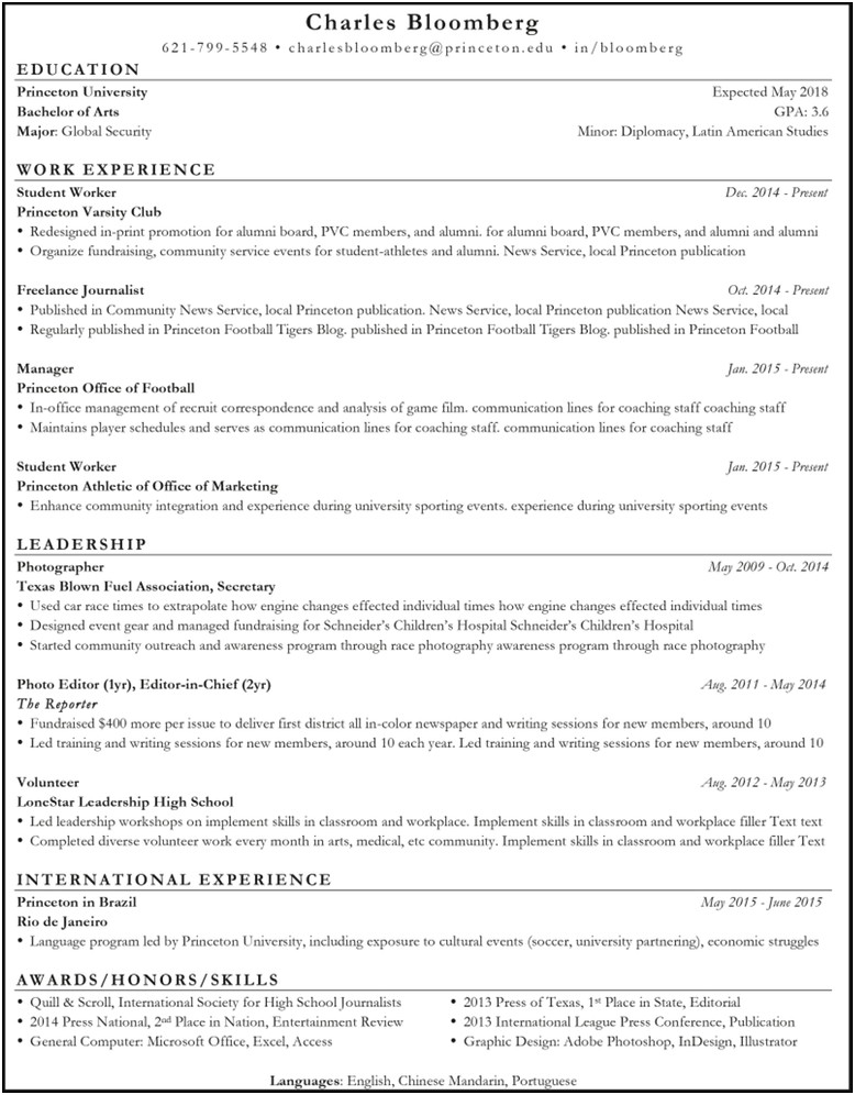 Resume Templates For Developers Reddit