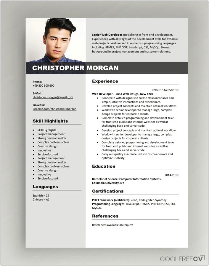 Resume Templates For Experienced It Professionals Free Download