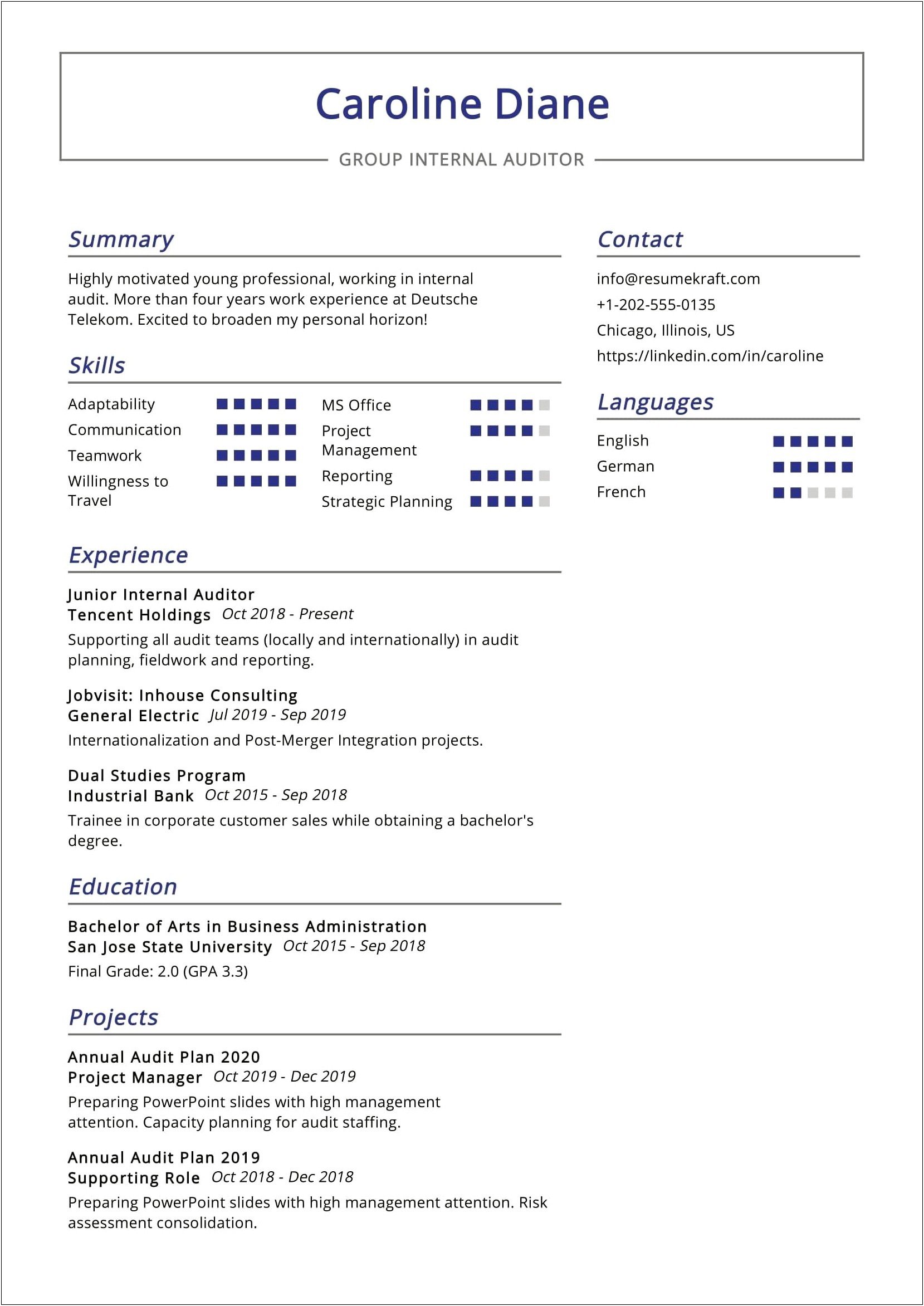 Resume Templates For Hotel Interal Auditor