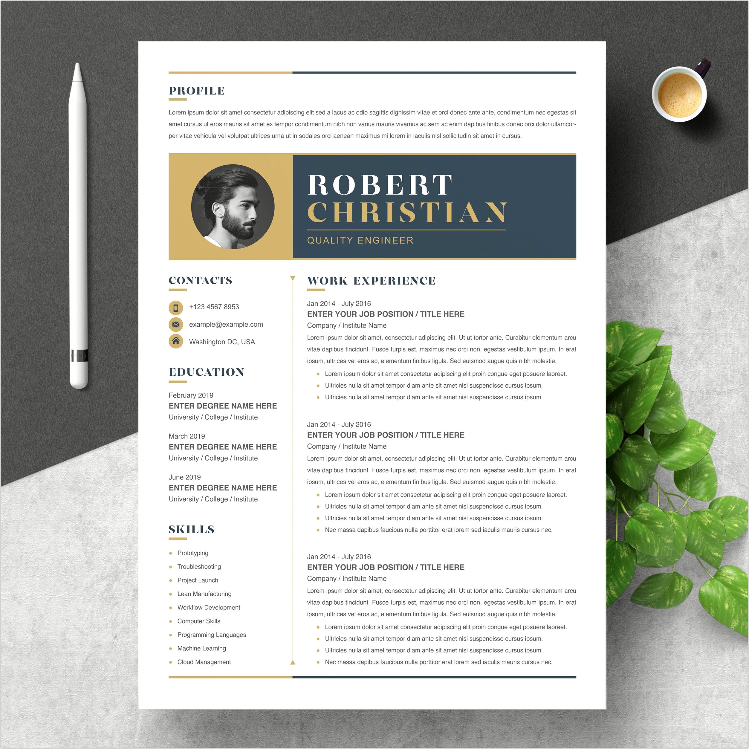 Resume Templates For Ms Word Free