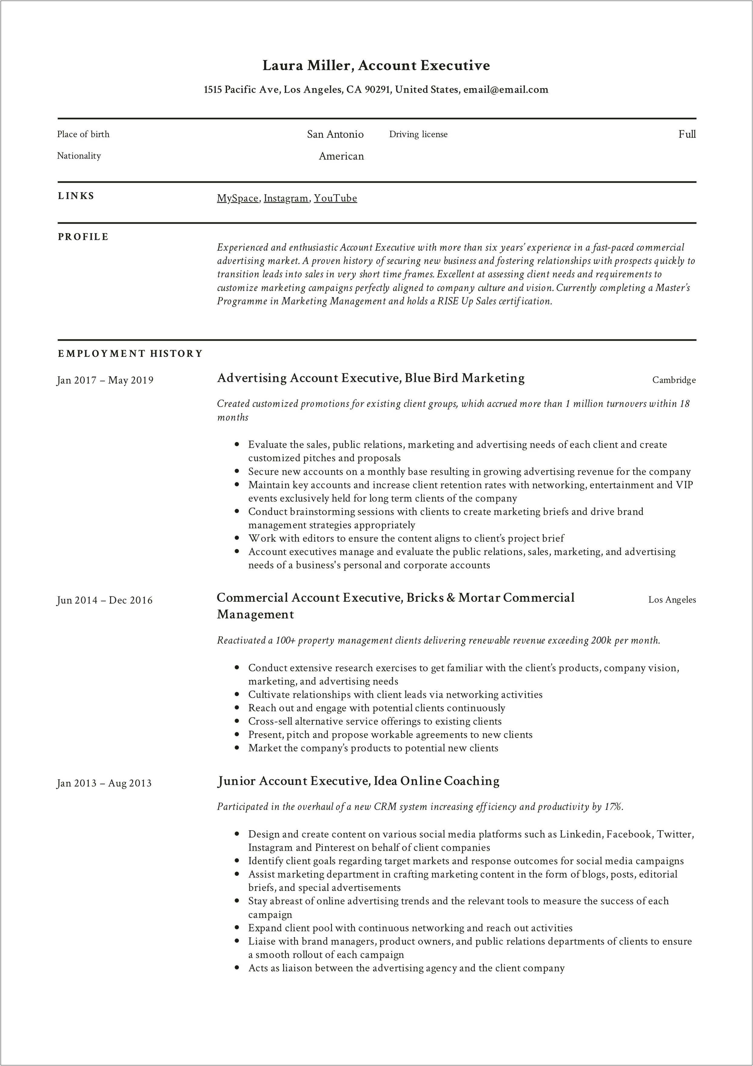 Sales Executive Job Description For Resume Pdf