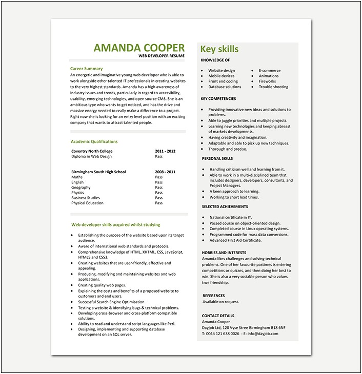 Sample Entry Level Web Developer Resume