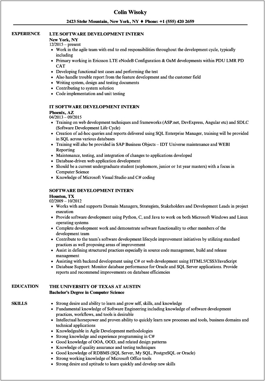 Sample Internship Resume On Java College