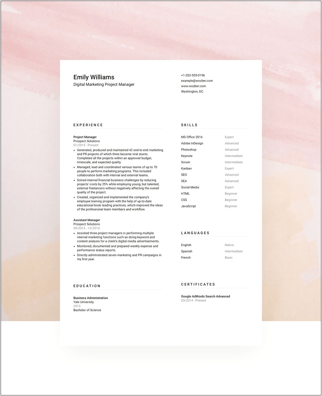 Sample Of A Professional Business Resume