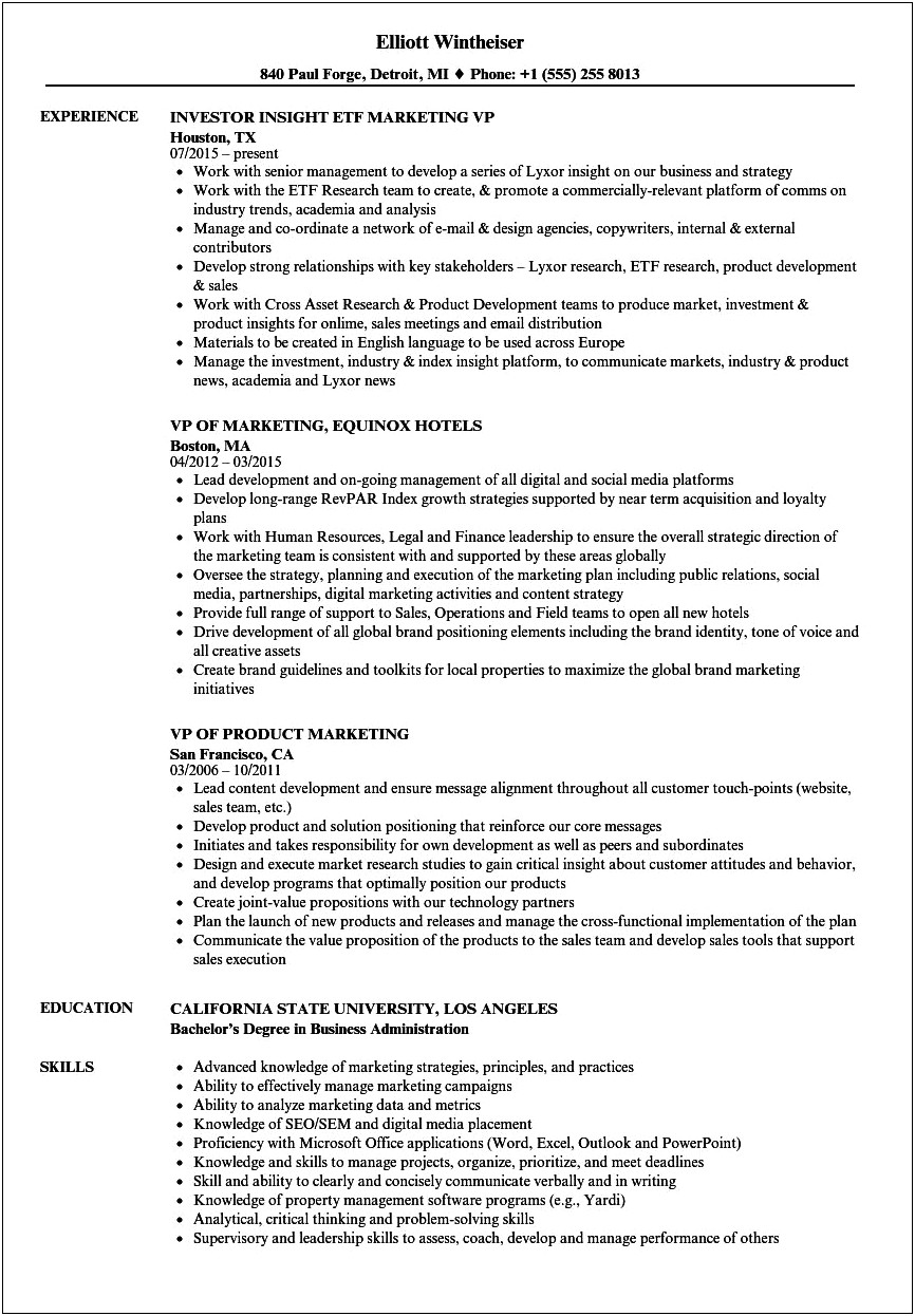 Sample Resume For A Vp Of Marketing