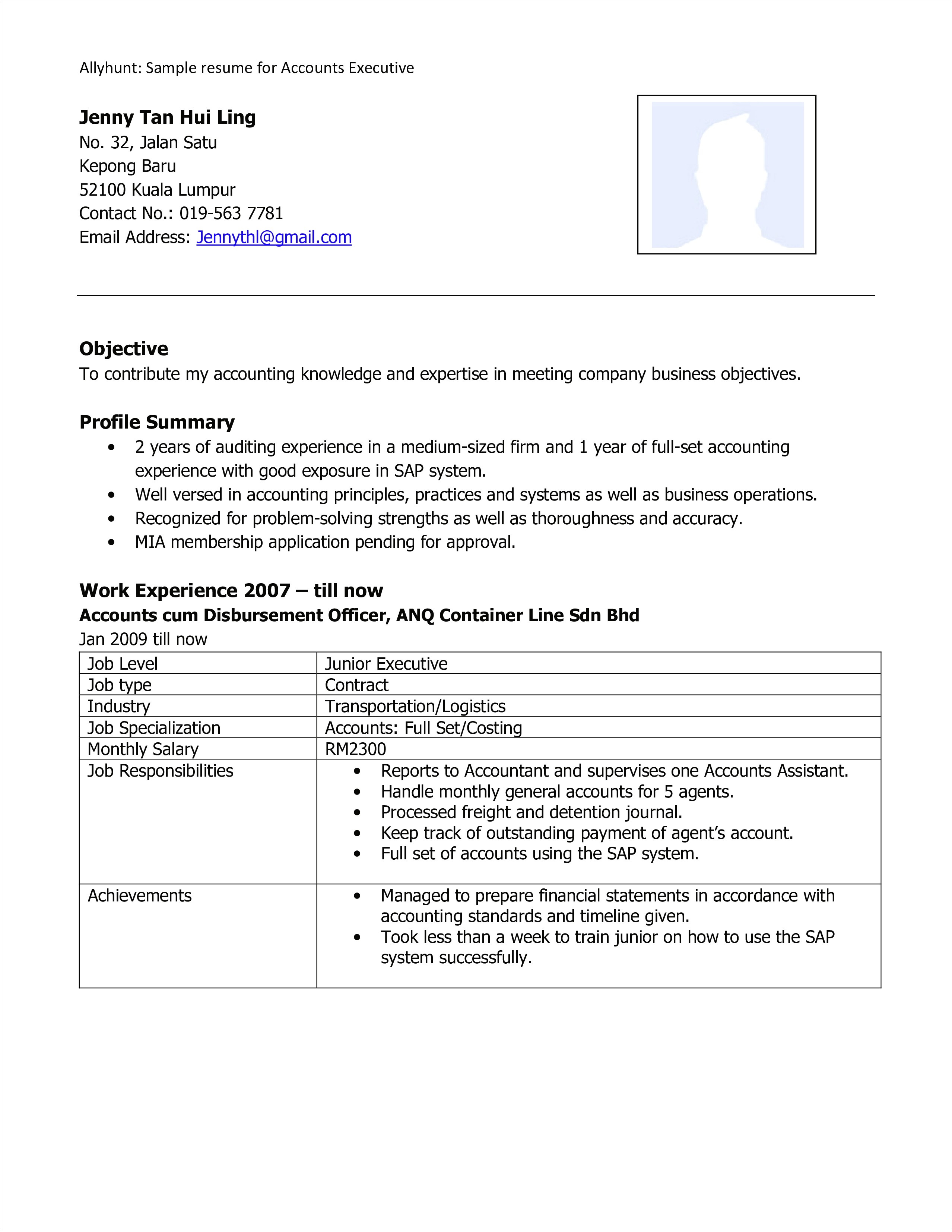 Sample Resume For Account Executive Meeting With Customers