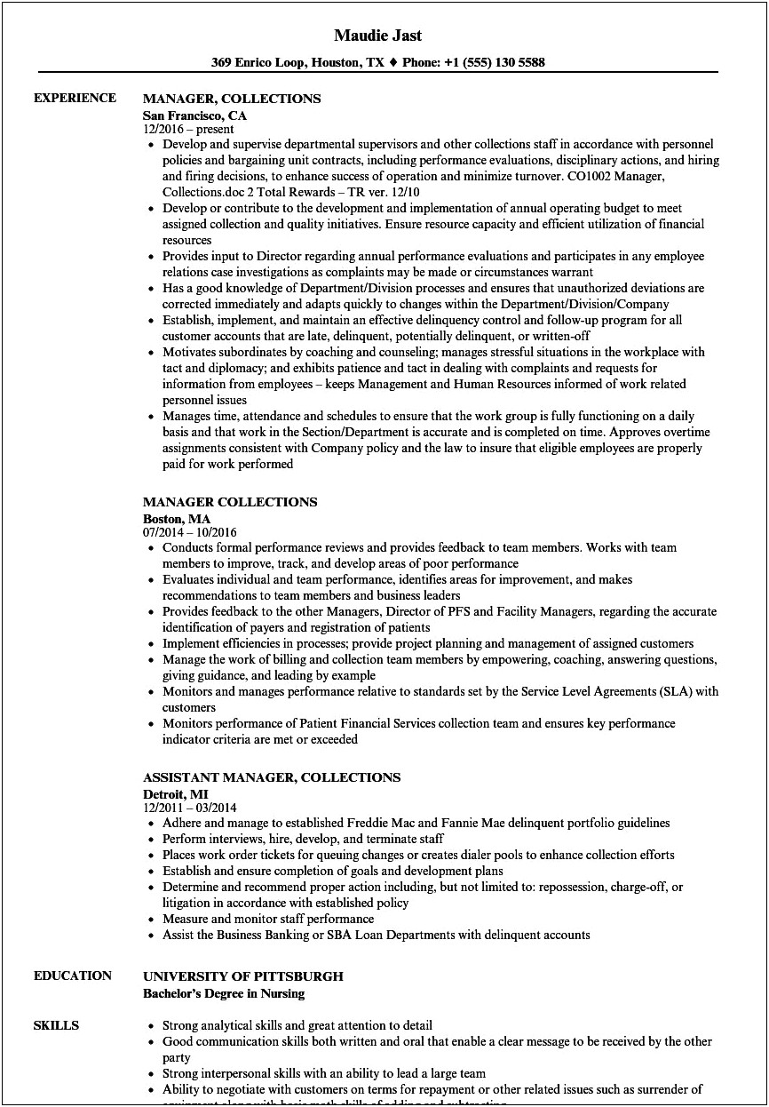 Sample Resume For Collections Team Leader