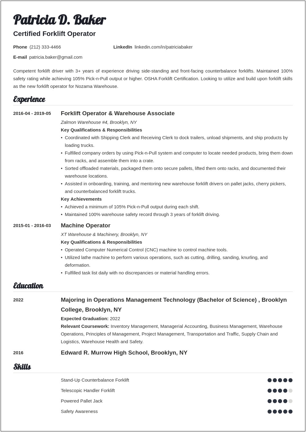 Sample Resume For Hi Lo Driver