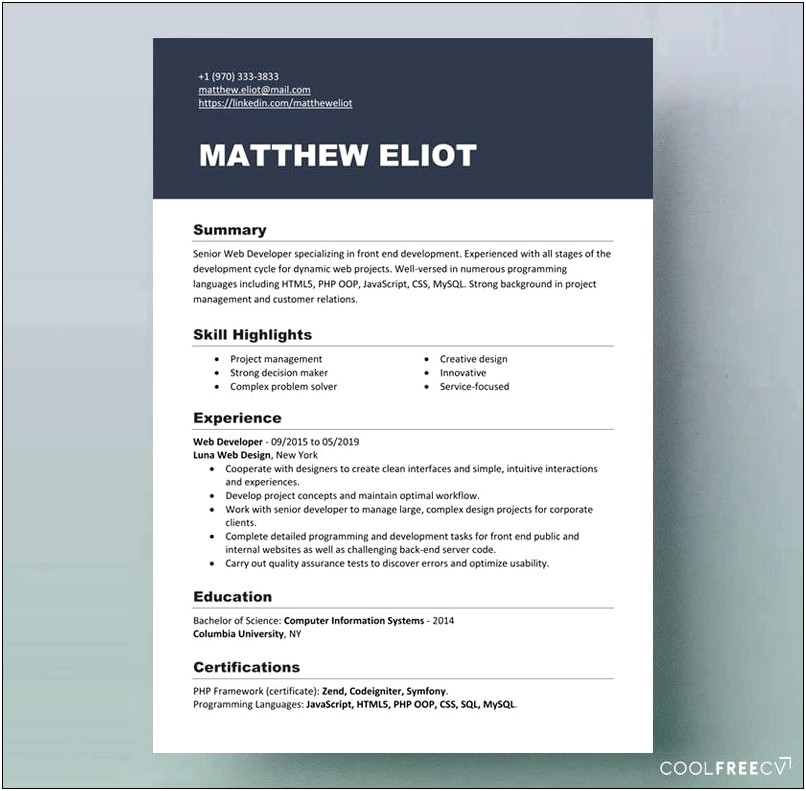 Sample Resume For It Professional Doc