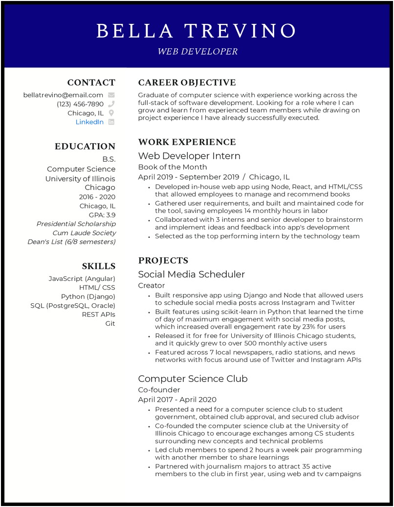 Sample Resume For It Professional For Freshers