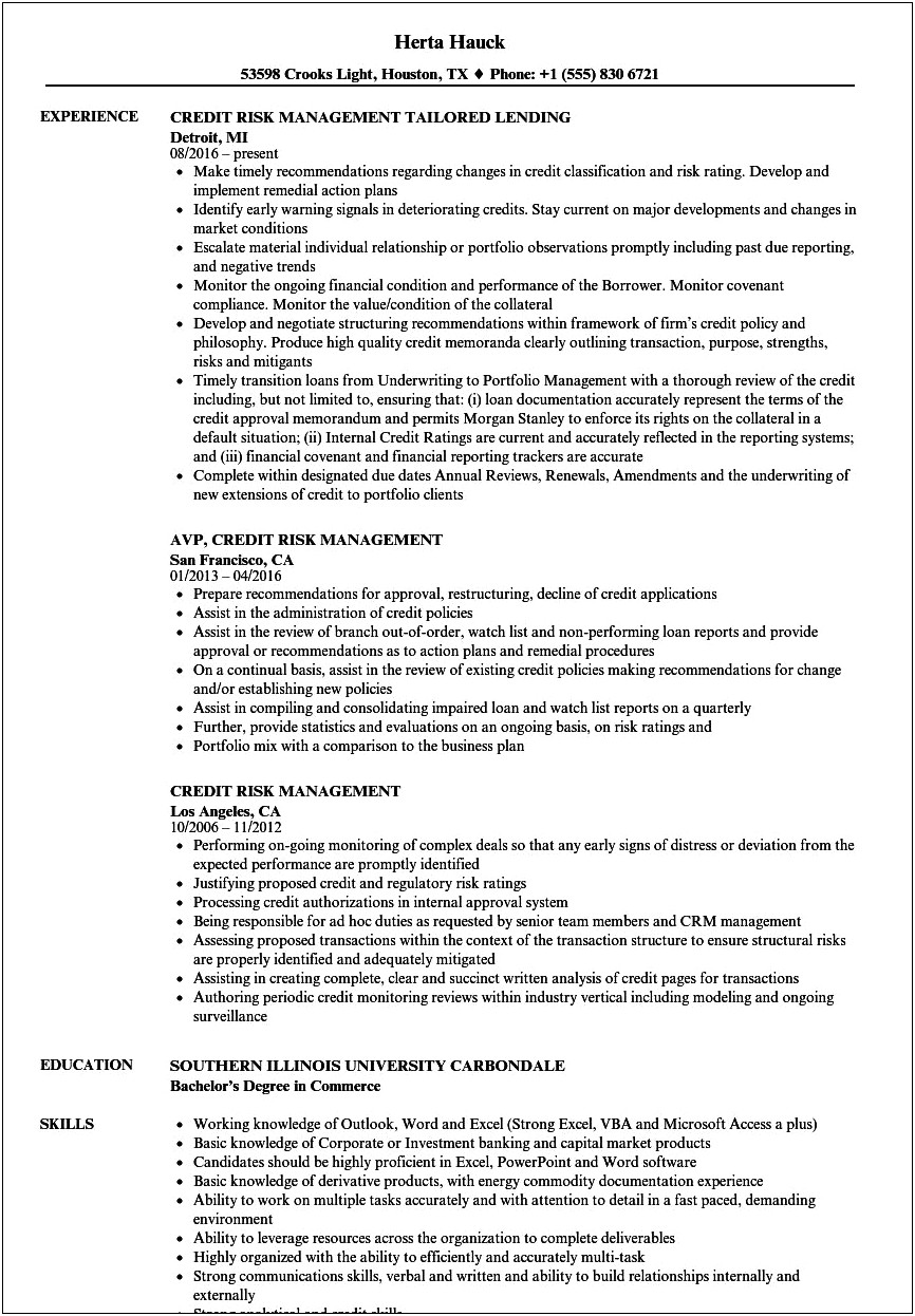 Sample Resume For Risk Advisory Intern