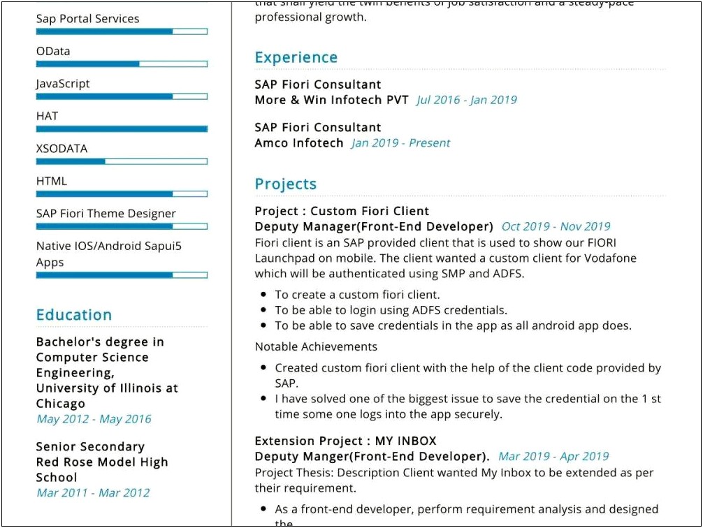 Sample Resume For Sap Basis Consultant