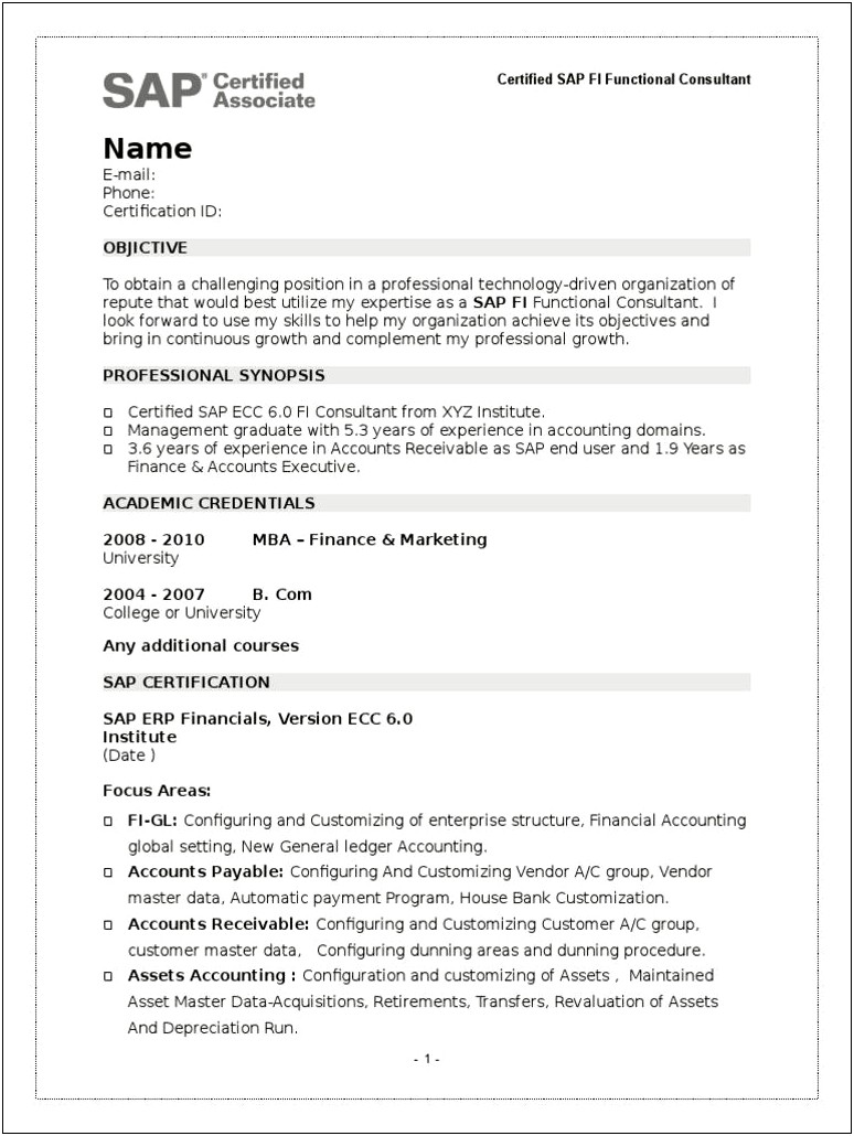 Sample Resume For Sap Fico End User