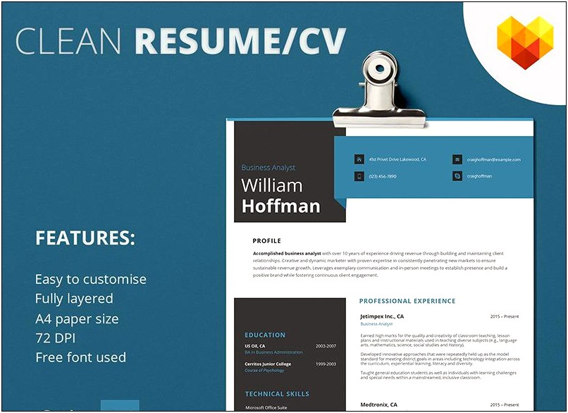 Sample Resume Format For Business Development Manager