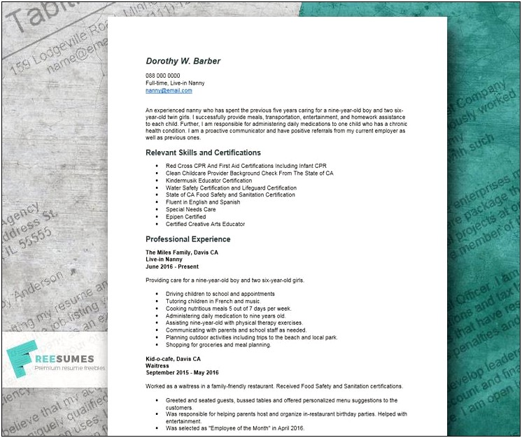 Sample Resume Job Descriotions For Babaysitter