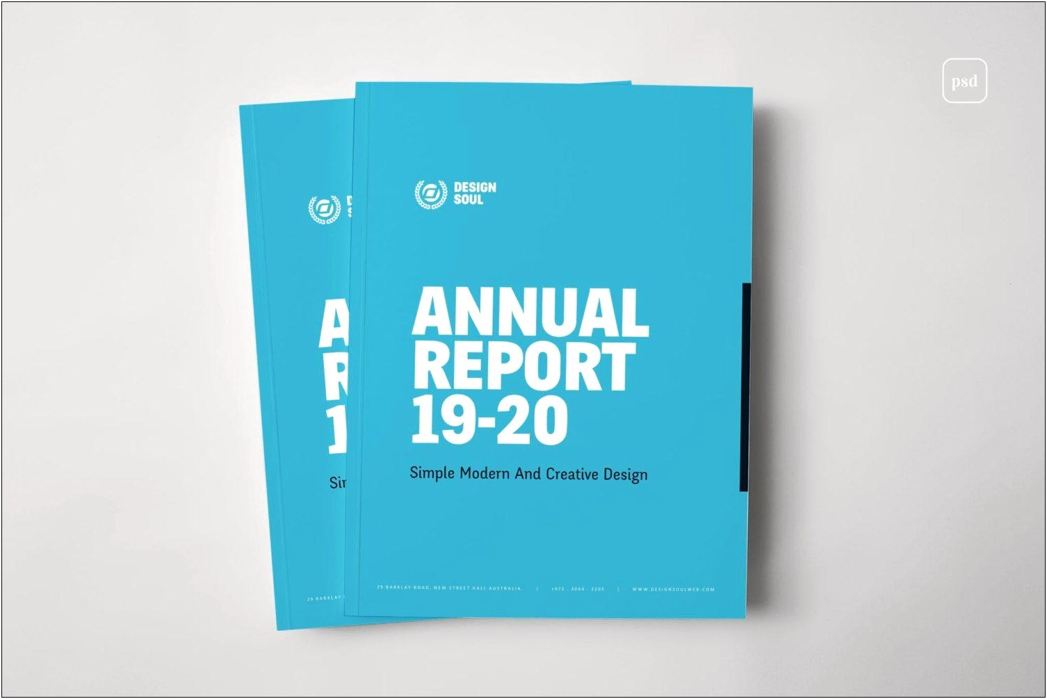 Sample Resume Ngo Annual Report Template