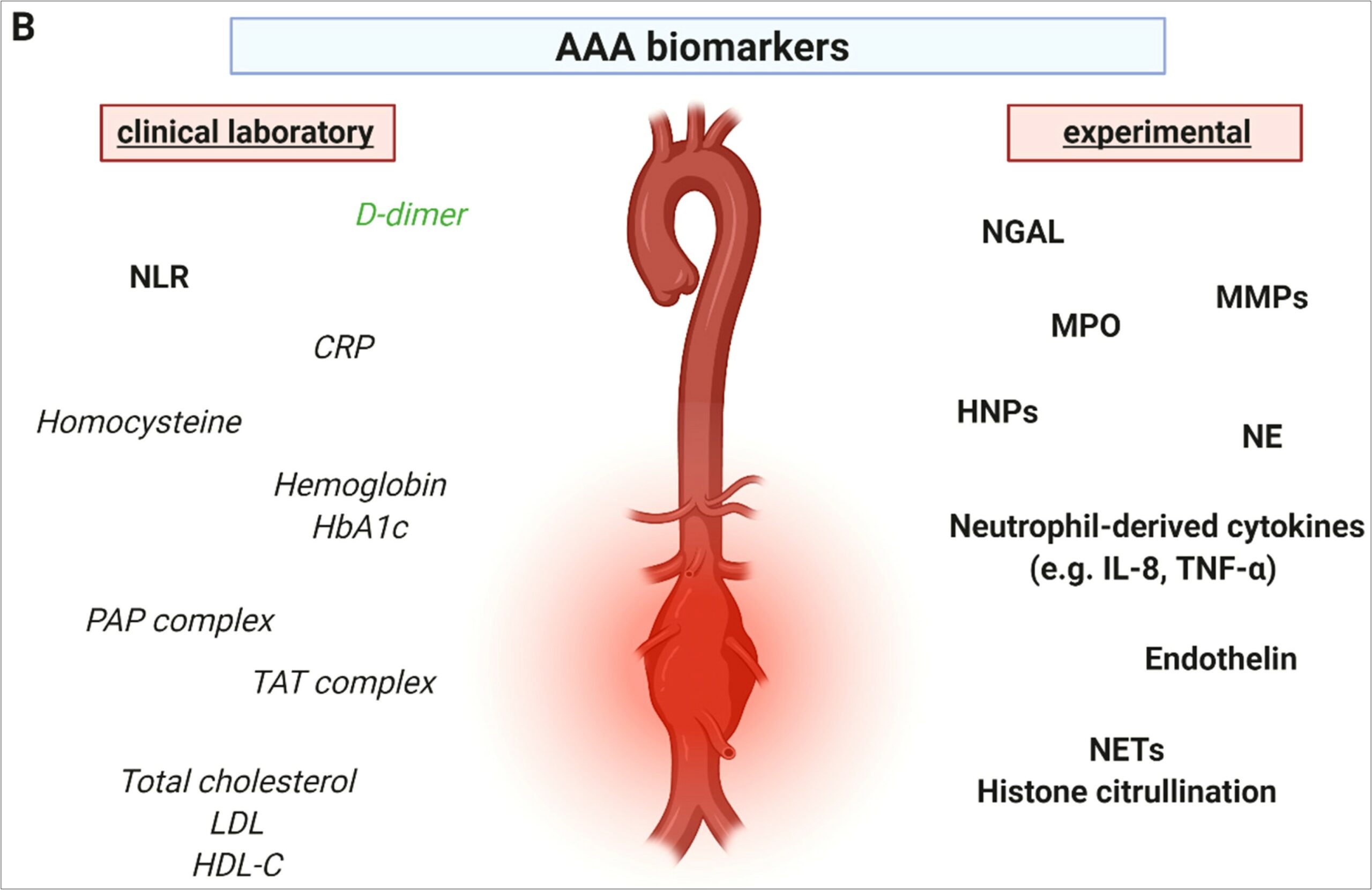 Sample Resume Np Interventional Neurosurgery Aneurysm