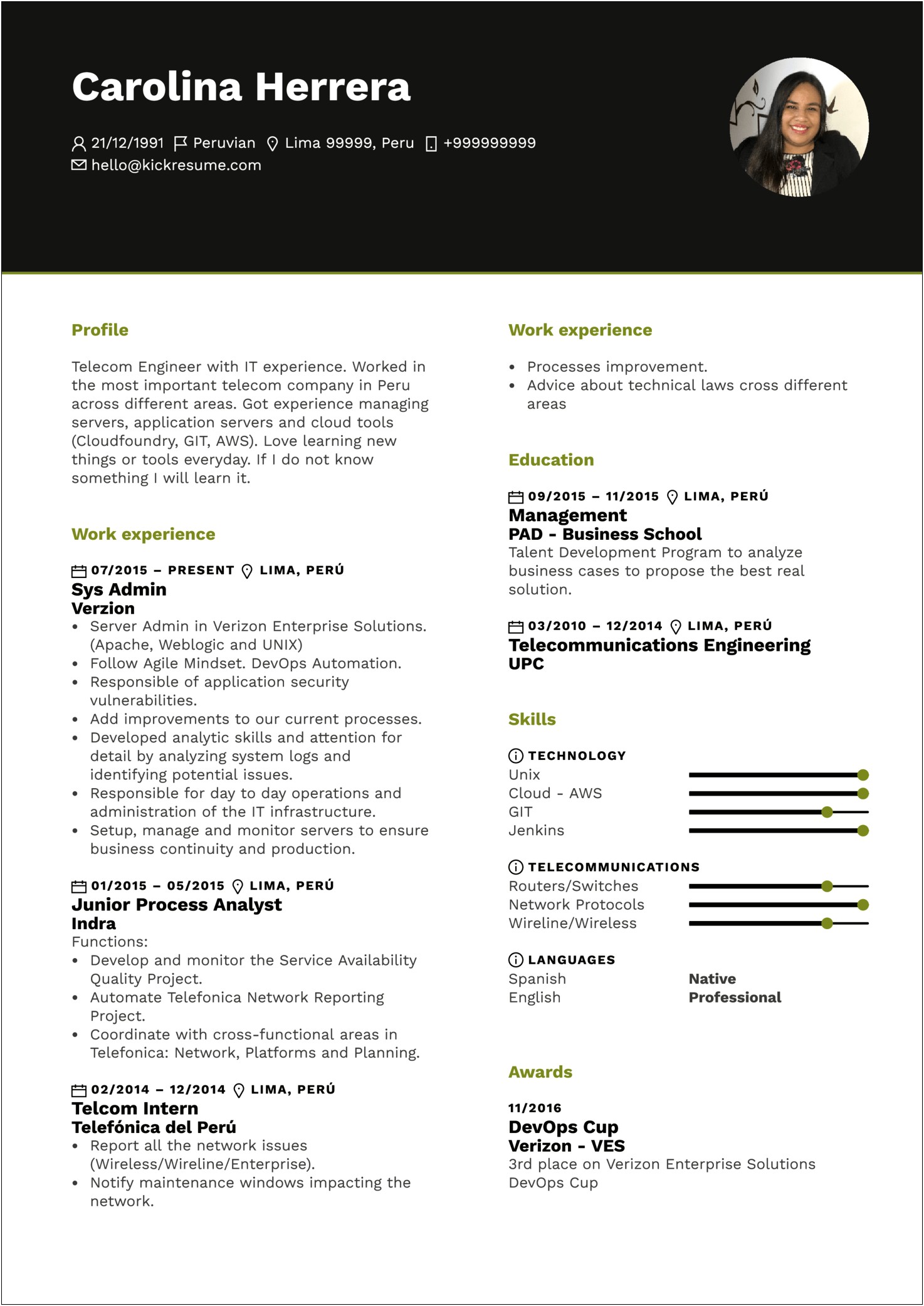 Sample Resume Profiles For Administrative And Research Analyst
