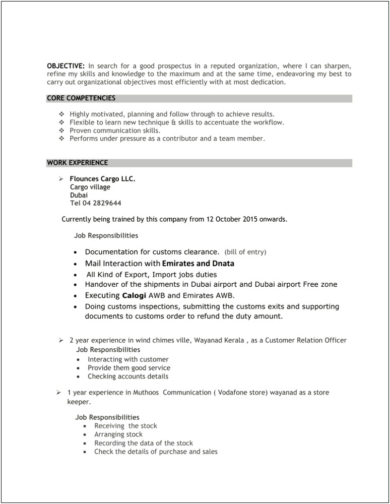 Sample Resume Sales Executive Freight Forwarding