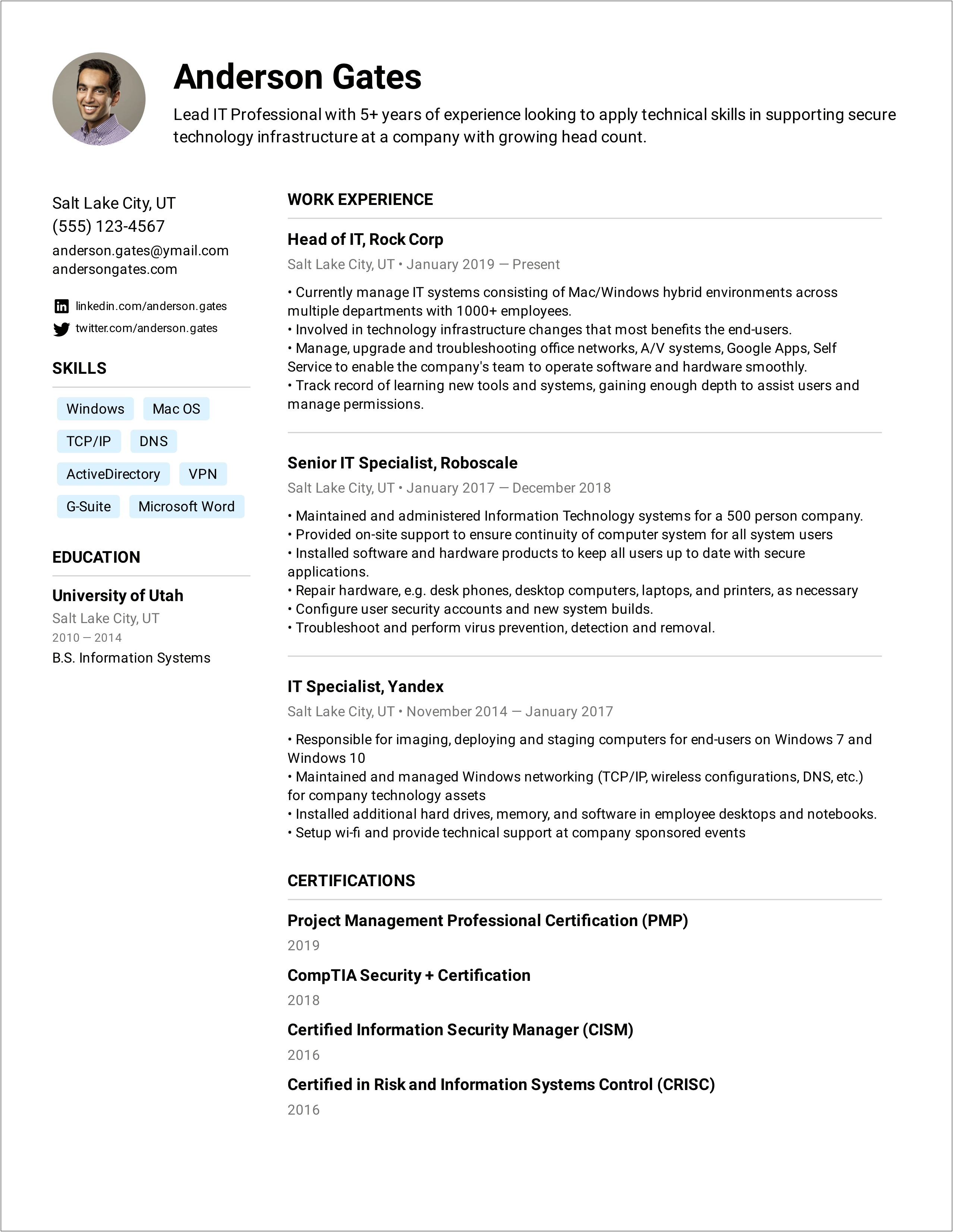 Sample Resume Summary For A Lead Specialist Job