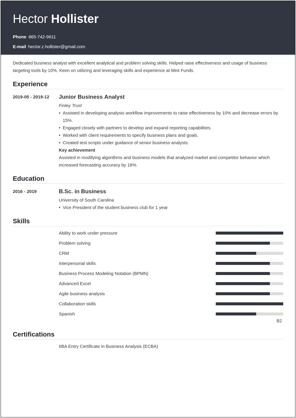 Sample Resume Summary For Business Analyst