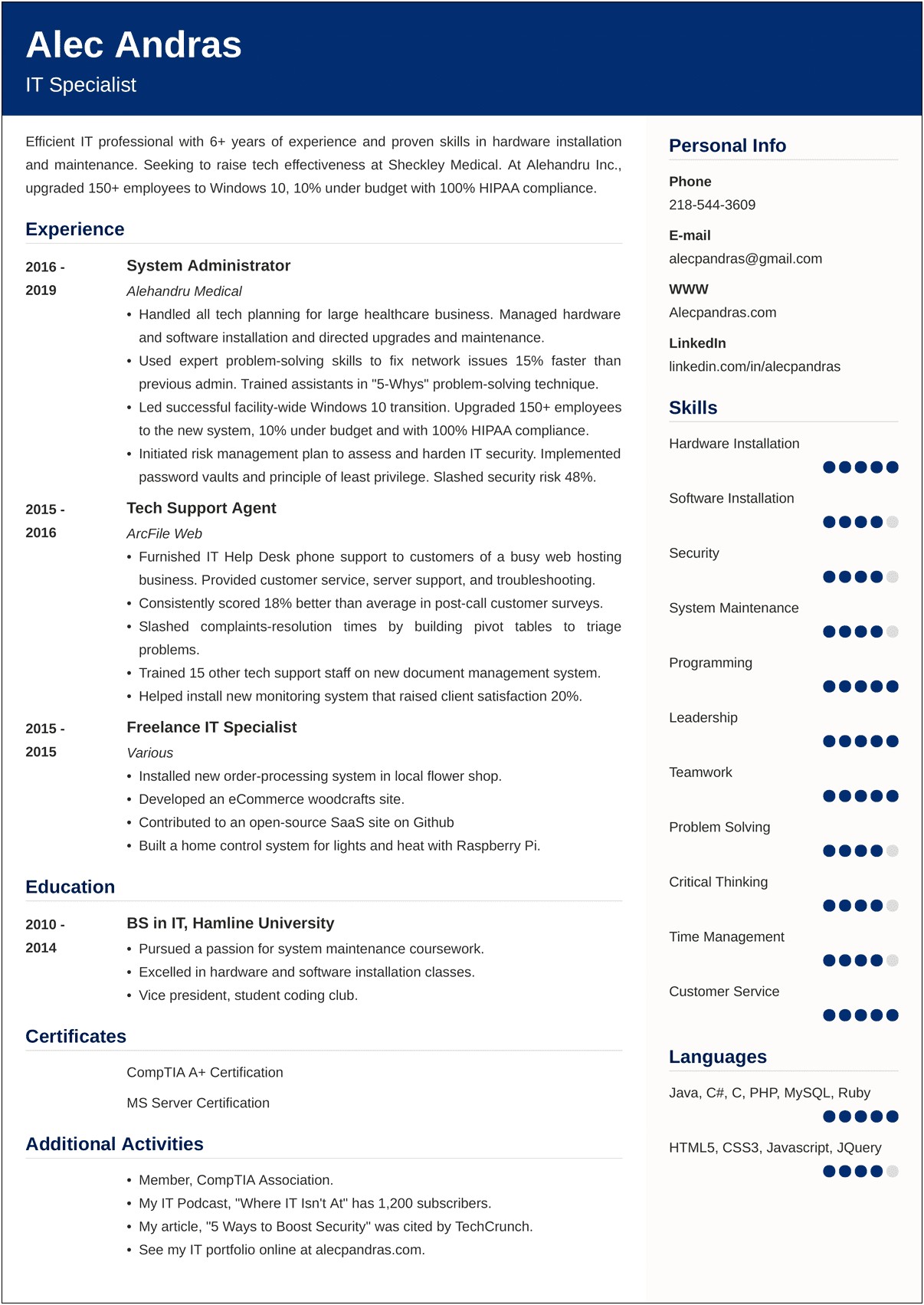 Sample Resume Vice President Information Technology