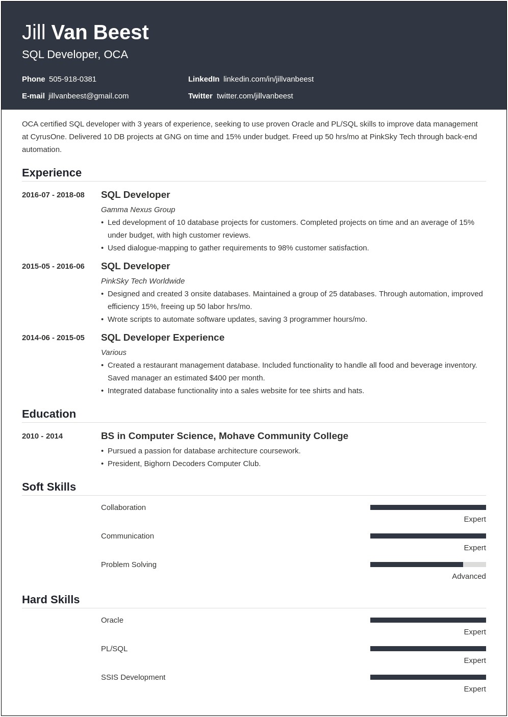 Sample Resumes For Entry Level Sql Bi Developer