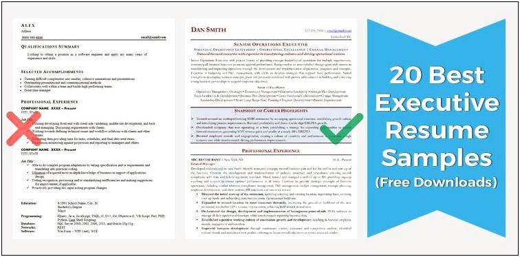 Sample Resumes For Evp Engineering