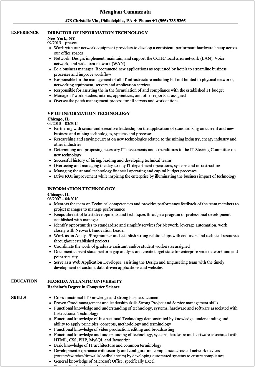 Sample Summary For Resume For Information Techonology