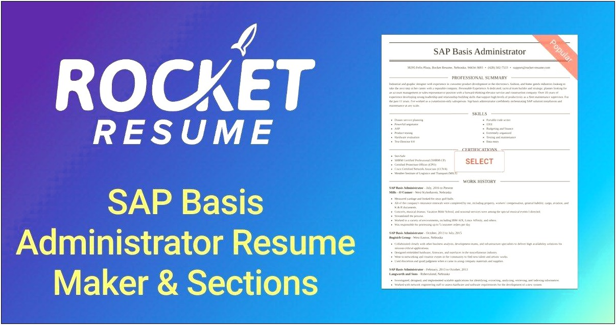 Sap Basis And Security Sample Resumes