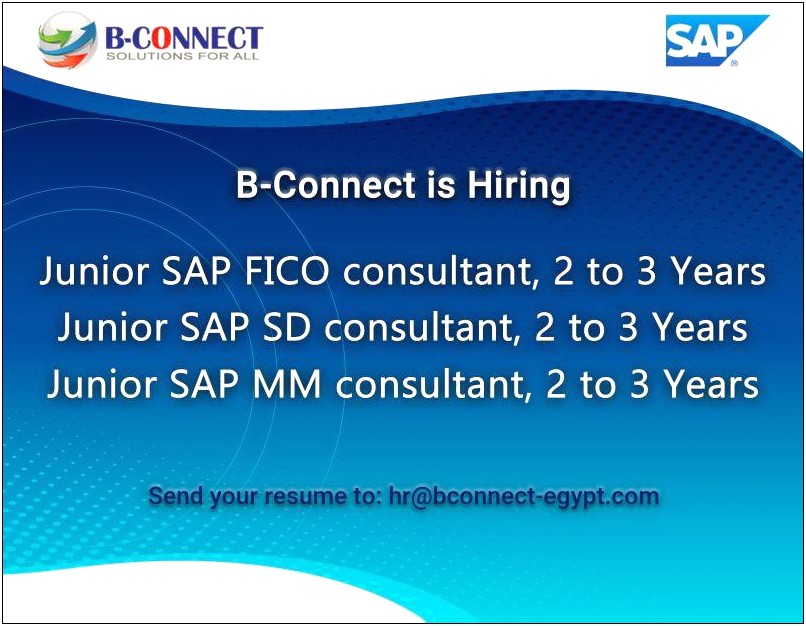 Sap Mm Consultant Resume For 2 Years Experience