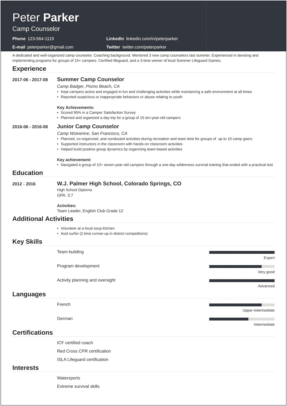 Skills Area Director Camp Counselor Resume