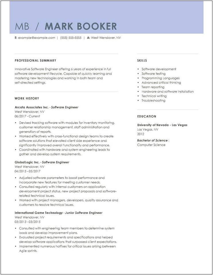 Software Engineer Student Professional Resume Summary Statement