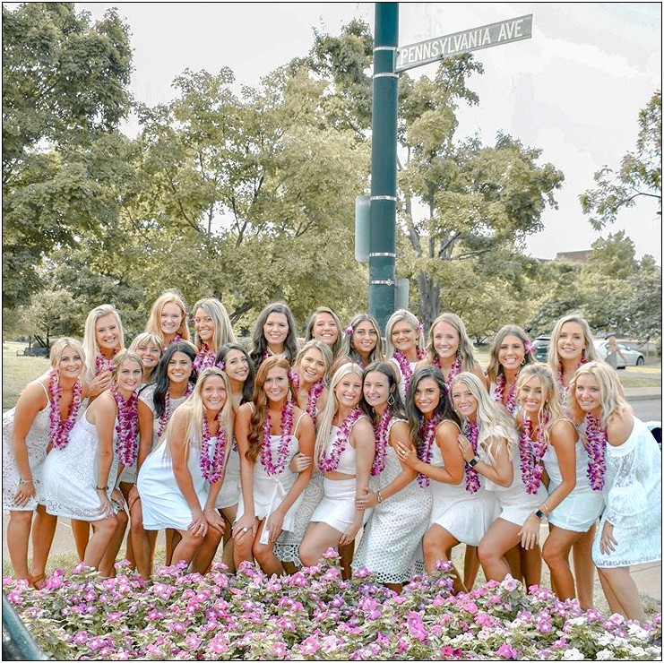 Sorority Resume Template University Of Alabama