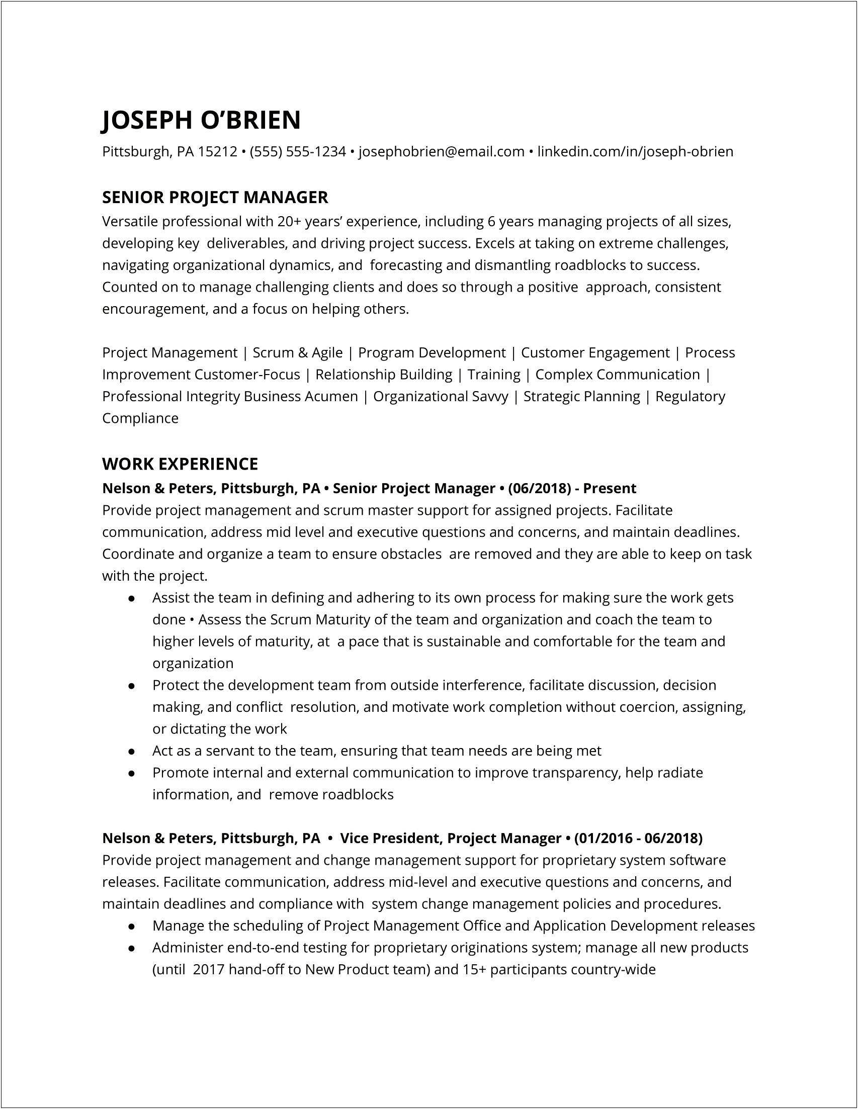 Sr It Project Manager Resume Technology