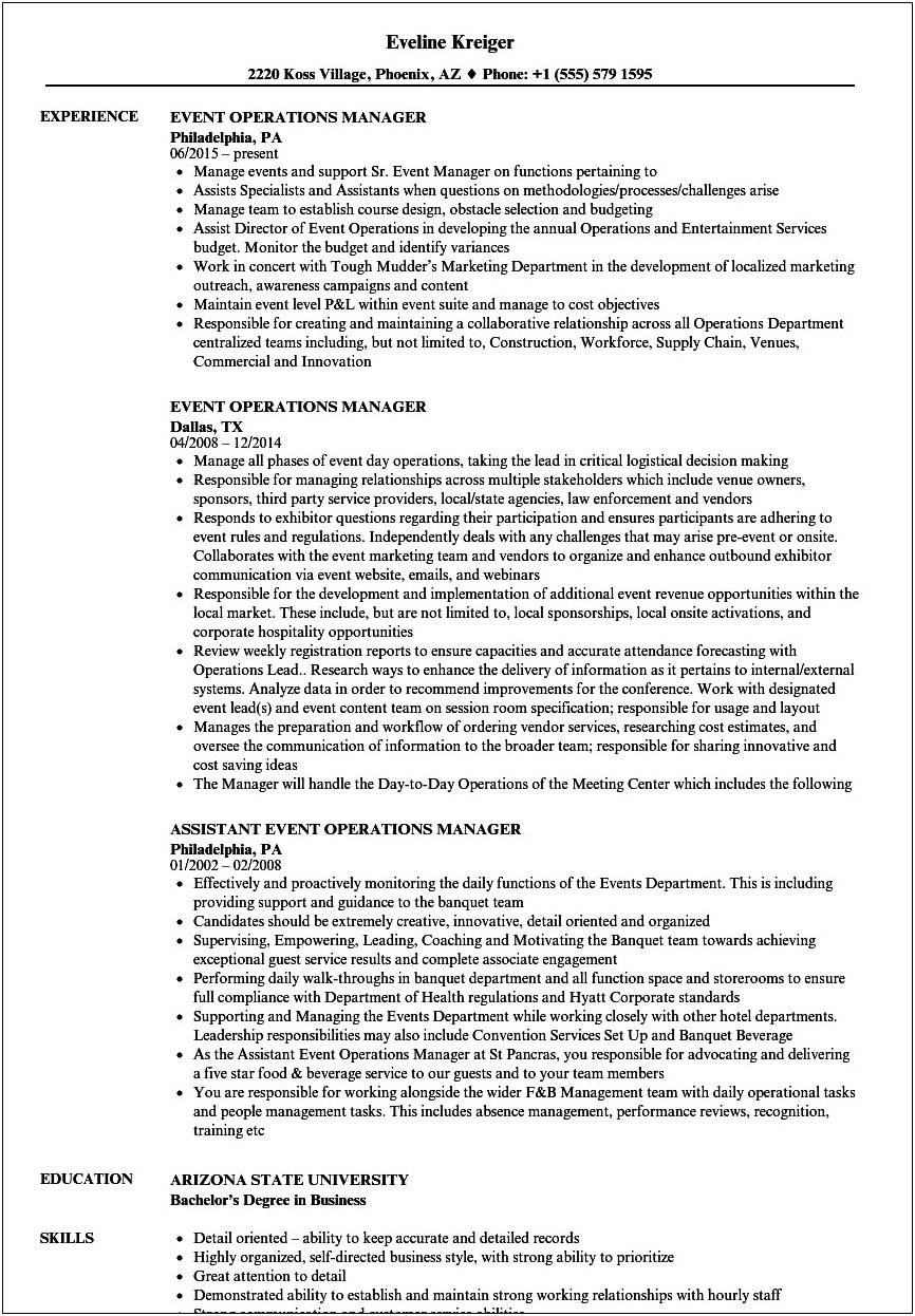 Summary For Village Manager On Resume