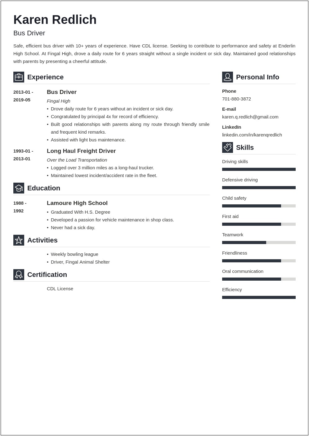 Summary Of Resume For A School Bus Driver