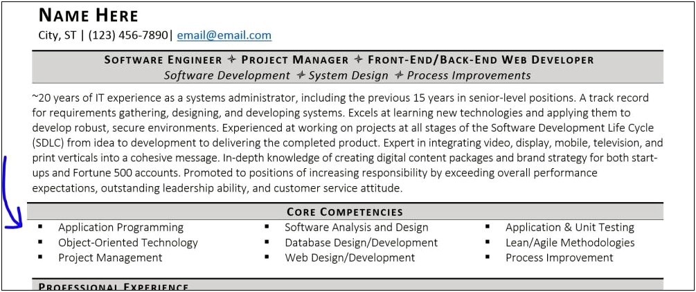 Summary Sample For Information Technology Resume