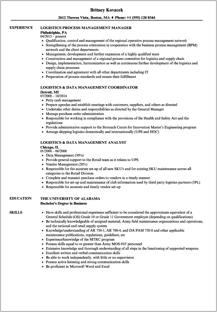 Summary Statement Resume Logistics And Accounting Background