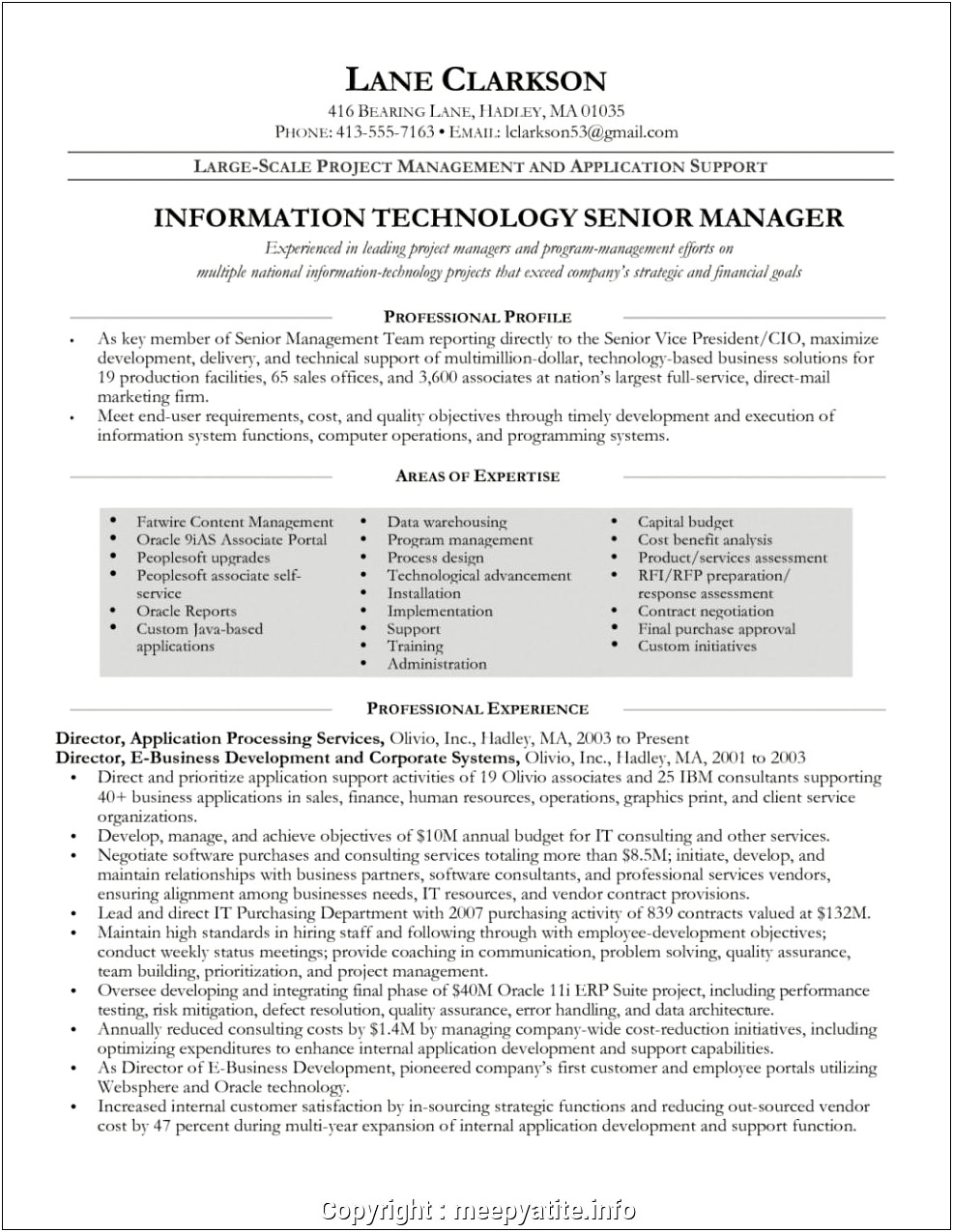 Support Of Senior Management Resume Finance