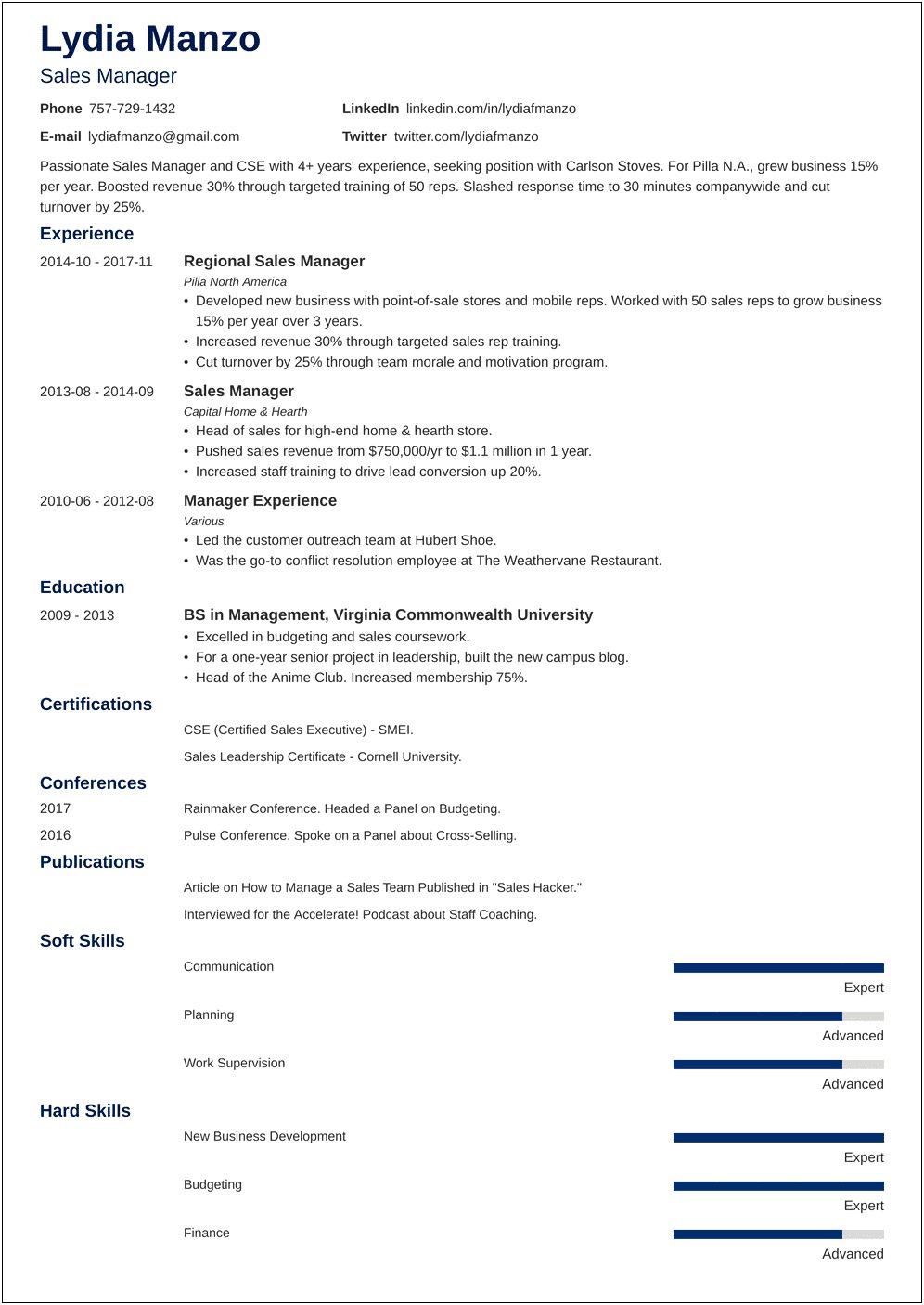 Team Leader Sales Special Job Description For Resume