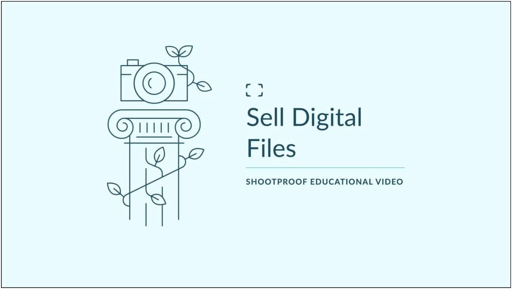 Terms Of Sale Free Template For Shootproff