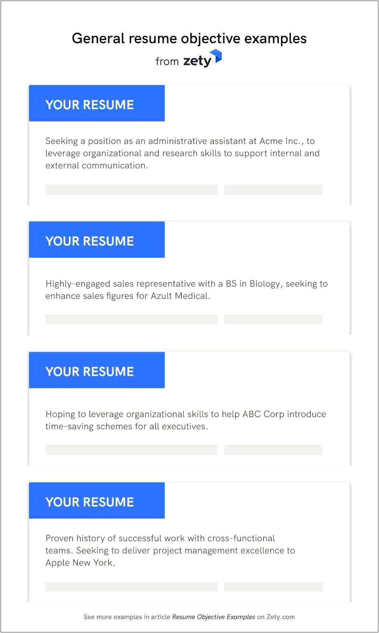 The Objectives Go In A Resume Examples