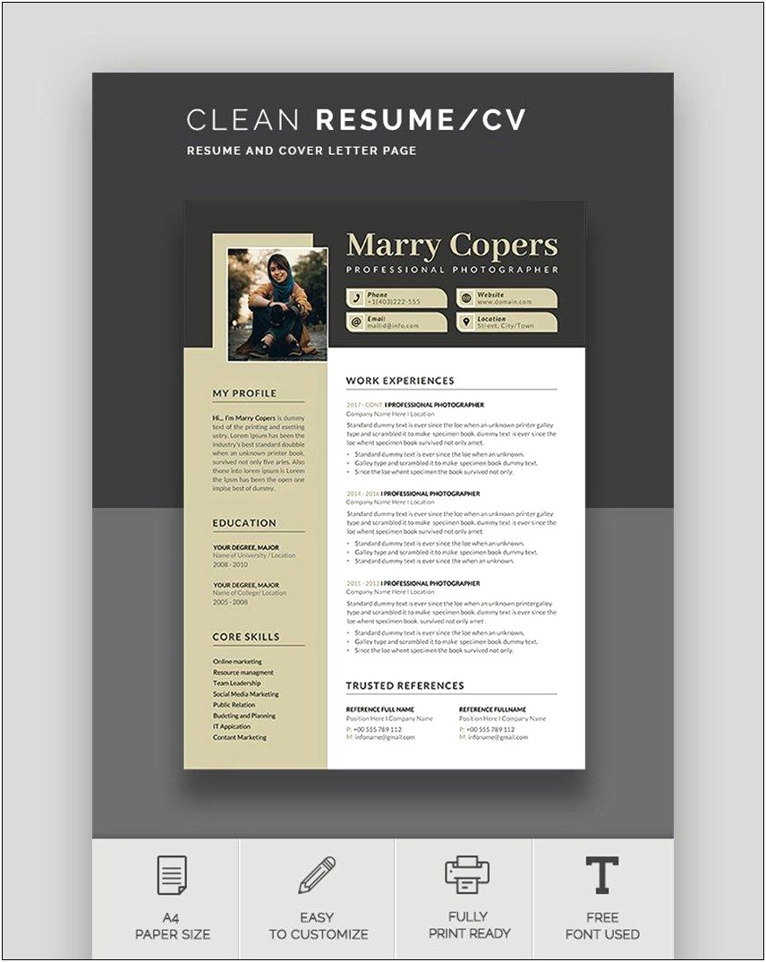 Top Resume Templates 2017 Free Download