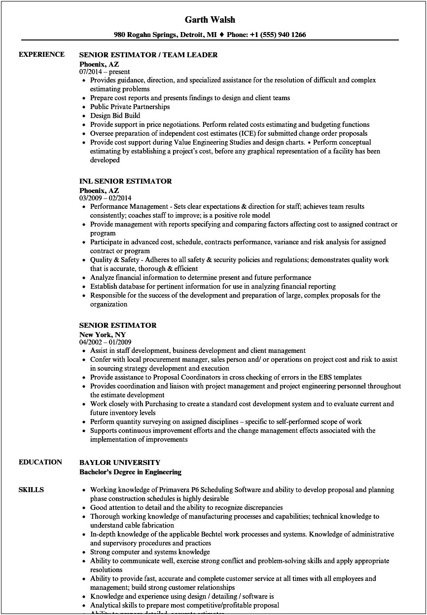 Top Ten Project Estimator Resume Summary