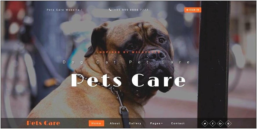 Veterinary Web Free Css Html Code Template Toolkit