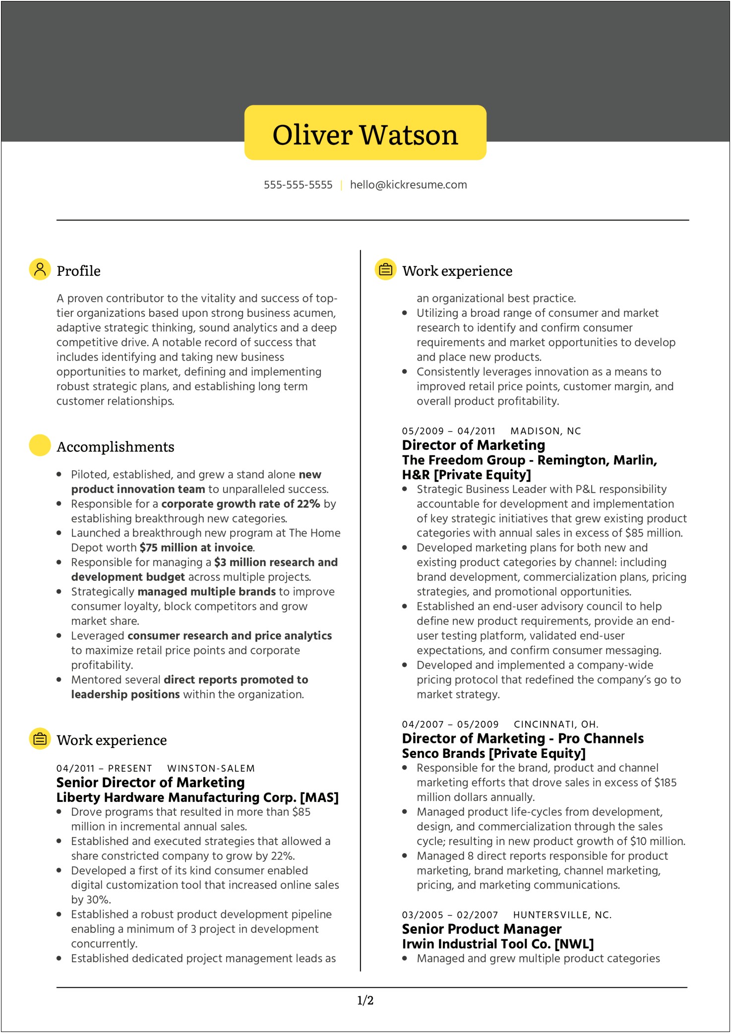 Vice Presedent Business Development Sample Resume